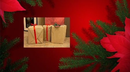 gift_wrapped_cases_of_the_month_small