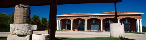 deVine Wines and Spirits